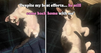 Night-shift worker stays behind for a few extra minutes and meets a little kitten who couldn’t have picked a better time to appear