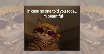 A Meowgical Delivery of 22 Cat Memes to Pounce Into the Work Week with Pawsitivity