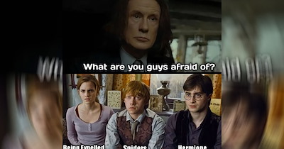 The Best Harry Potter Memes of the Week (September 21, 2026)