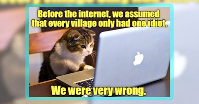 Caturday LOLcat Clawmedy Created by the 'I Can Has Cheezburger' Cat Community