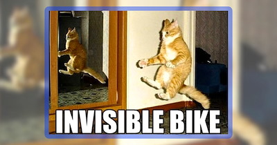 27 Feline Funnies for Cat People Who Need a Meow and a Laugh