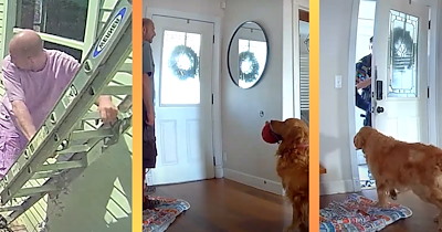 4-Year-Old San Diego Golden Retriever Tries To Befriend a Burglar with Tail Wagging and Toys, Turning a Break-In Into a Brand-New Buddy Situation
