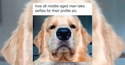 ‘How All Middle-Aged Men Take Selfies for Their Profile Pics’: 17 Dating Memes to Endure the Discouraging Relationship Landscape