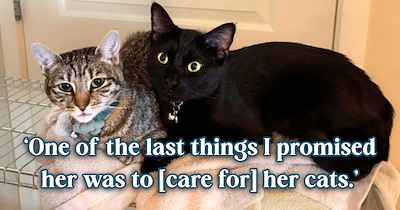A year after losing his girlfriend of 7 years, a man shares how caring for her two cats, Olive and Pearl, has helped all three of them grieve together.