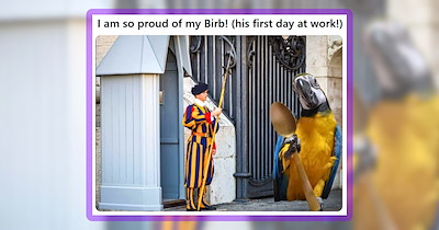 22 Sweet Parrot Memes to Squawk Away Your Sunday Stress
