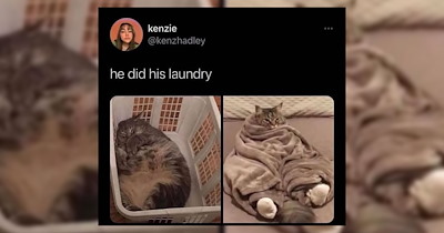 The Best Heartwarmingly Wholesome Memes and Posts of the Week (September 24, 2026)