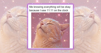‘Magic is Everywhere’: 21 Whimsical Cat Memes from an Enchanted Corner of the Feline Kingdom