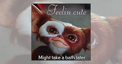 'Gizmo Is Back!': 21 Gremlins Memes for Fans Celebrating the New Gremlins 3 Teaser and the Promise of Real Puppets
