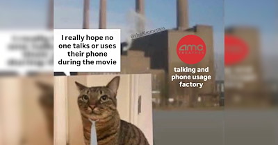 For the cinematic fans obsessed with loging the films they watch into Letterboxd: 19 film memes