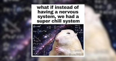 Prescribing You a Spoonful of Memes to Help the Laughter Go Down