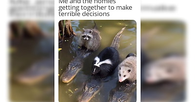 21 best friends memes so that you can keep telling each other ‘Exactly’ when you are both wrong