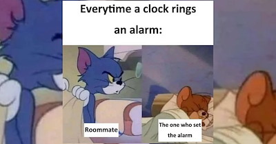 'I asked you to do the dishes!': Relatable memes for people living with roommates and struggling to split all the household chores 