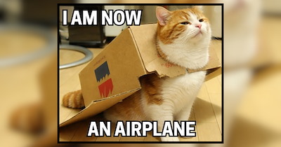 20 Feline Funnies to Keep You Company on the Morning Commute
