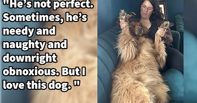 ‘Max has gotten a little better at being a dog, sure. But I started to love him.’: Difficult puppy teaches first time dog mom how to love him and herself unconditionally, helping her heal from trauma