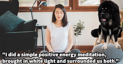 ‘The energy I could feel from her was nothing but positive.’:  Anxious pup becomes filled with calm after joining dog mom’s meditation,  raising questions concerning pupper mindfulness practices