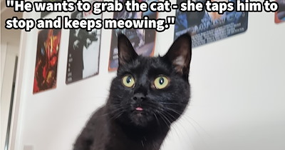 ‘Stop doing whatever you are doing right now!’: Cat mom concerned by feline pawrenting her 2 yr old son asks Reddit if this behavior is normal