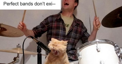 27 Feline Funnies to Soothe your Soul When you Furgot to Call in Sick on Tummy Ache Tuesday