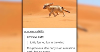 33 Funniest Tumblr Memes to Enjoy on a Rainy Day