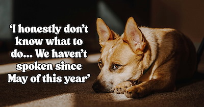 'She has never bought him dog food': Former friend asks woman to take care of her dog temporarily, leaves for 7 months, then demands the dog back