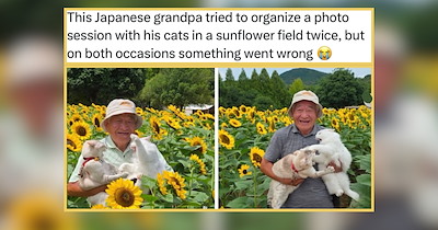 A Harvest Moon of Animal Memes for Furry Friends Frolicking Through Fall