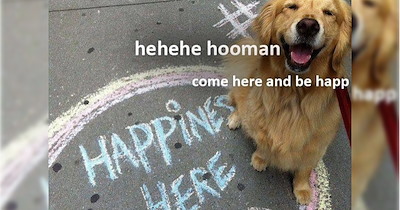 27 Howlsome Pupper Posts to Put Some Pawsitivity in Your Pipe as You Slide into the Weekend