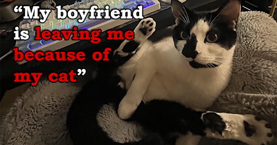 'Nobody will ever separate me from this cat': Boyfriend forces his girlfriend to choose between him and her loyal cat, she chooses the cat and finds a better kind of love