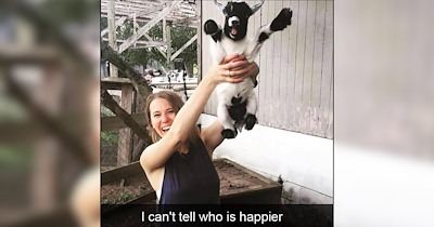24 Agricultural Animals Livin’ Their Best Raw and Rural Lives