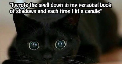 ‘HE CAME HOME!’: Redditor uses witchcraft to summon family’s soul cat who ran away, after 2 weeks of spells Simba made his return