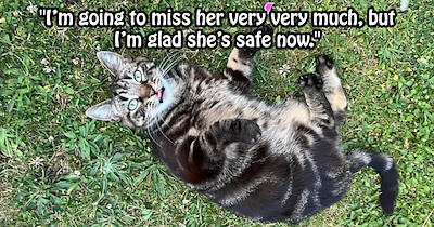 ‘She'd been missing for over a year!’: Cat lover turned pet detective battles fake pawrents to find neglected cat’s real owners and reunite a fur family over a mile away