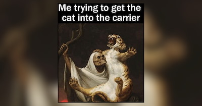 Cats Vs. Carriers: A Battle Every Pawrent Knows Too Well
