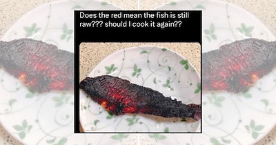 21 Cooking Fails and Bad Food for Optimistic Home Chefs Learning to Trust the Process (October 1, 2026)