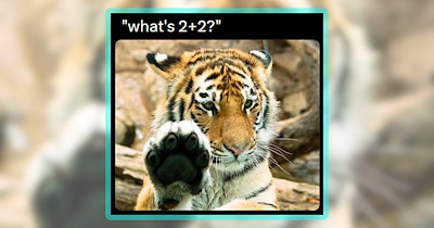 20 Animal Memes Showing Off Their Toe Beans and Fancy Footwork in the Cutest Ways Pawssible