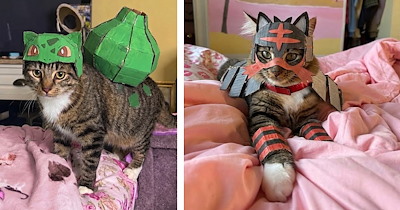 Cat pawrent gets global fame for crafting unique costumes, turning her tabby into the handmade Pokémon of your Halloween dreams