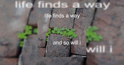 The Best Heartwarmingly Wholesome Memes and Posts of the Week (October 1, 2026)