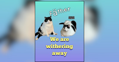 Hilariously Hangry Cats Making a Purrfectly Convincing Case for Another Scoop of Kibble