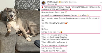 'You are beefing with a dog': Rescue doggo Tommy claps back at male commenters who were offended by his adoption request into "female only" household, leading him to his furrever moms