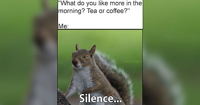 28 Fall Animal Memes to Sip on During Your Morning Coffee