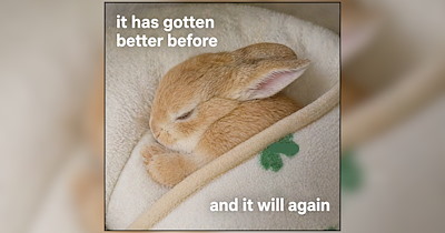 A Fresh Crop of Critter Memes Ripe for the Picking