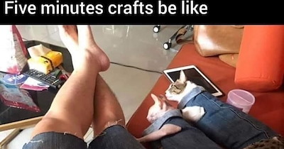 27 Wholesome Cat Memes to Curl Up with and Cuddle While your Chaotic Cat Child Crashes Around the House