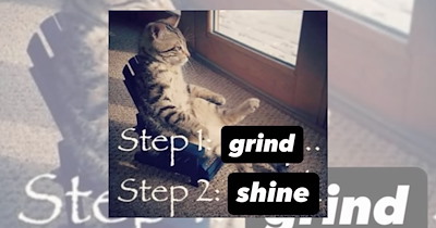 'Step 1: Grind. Step 2: Shine': 18 Hopecore Memes to Kick Off the Workweek With Some Much-Needed Motivation