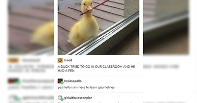 The 20 Best School Life Memes to Remember The Good Old Days When You Were Only Stressed About School