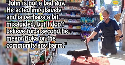 Man ‘steals’ seemingly neglected deli cat, but community pressure forces him to return the feline, sparking controversy over appropriate action