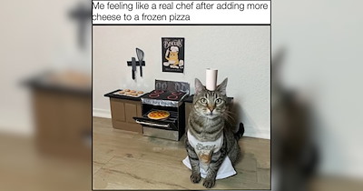 25 Soup Season Cat Memes to Warm Your Whiskers on a Chilly Day