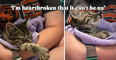 ‘The kitten absolutely cannot stay’: Woman finds 6-week-old kitten a year after losing her beloved dog, but luckily his forever home is close by