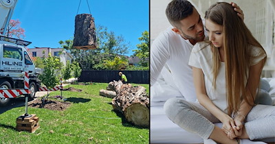 Oregon homeowner seeks justice after neighbor cuts her 40-year-old maple tree while they're out of town, despite it standing 9 feet inside her property: ‘It can't exactly be put back'