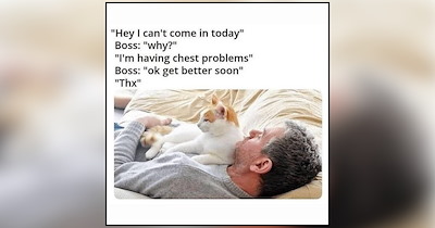 Cuddly Cats Taking Over Their Humans’ Beds for a Night Full of Purrs and Snuggles