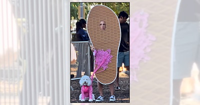 'Paws, Pose, Repeat': Dogs and Their Humans Striking Poses at a Howl-o-Ween Dog Costume Contest