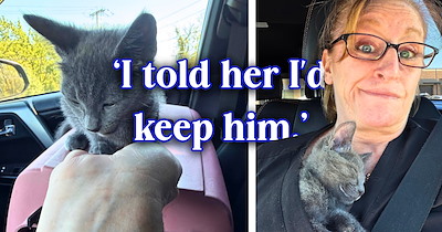 ‘She was on her way to take this baby to the shelter’: Infusion nurse stops for a stranger crying, holding a cat carrier beside her broken-down car, and ends up offering a lot more than a ride