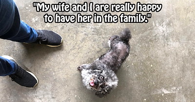 Suspected scared opossum in dog park turns out to be dumped crying poodle who lucks out and gets loving home with the fur family who found her