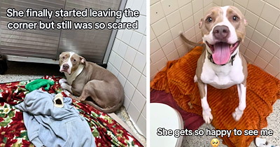 ‘We kept Autumn in the staff bathroom because we knew the kennels would terrify her’: Shelter worker recounts how a frightened dog went from hiding behind a toilet to finding a home with endless patience